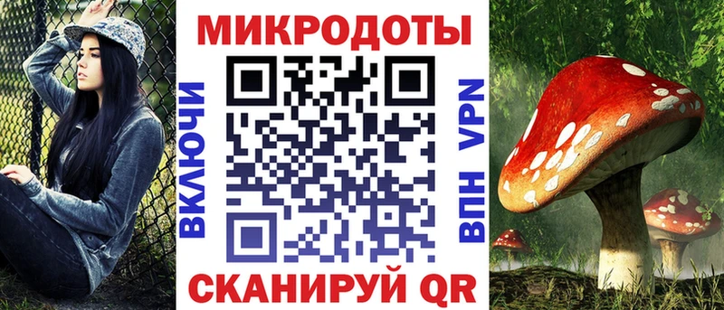 Купить закладки  Холм  Галлюциногенные грибы ЛСД 